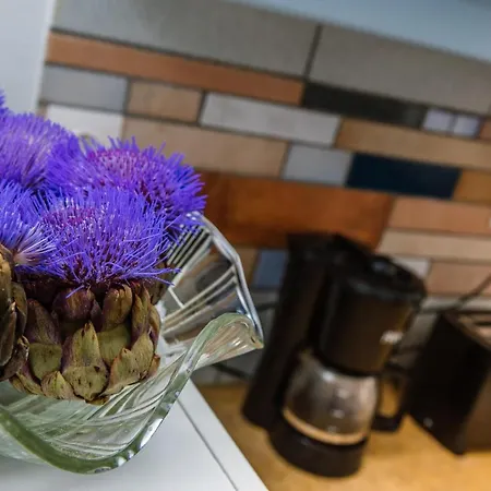 Apartament Mint Center