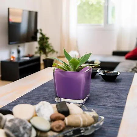 Apartment Mint Center *