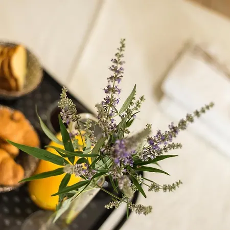 Mint Center Appartement