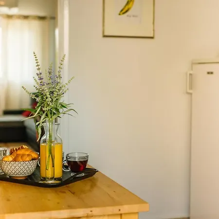 Appartement Mint Center *