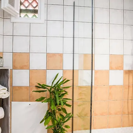 Appartement Mint Center